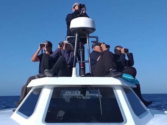 Equipo Verballenas.com